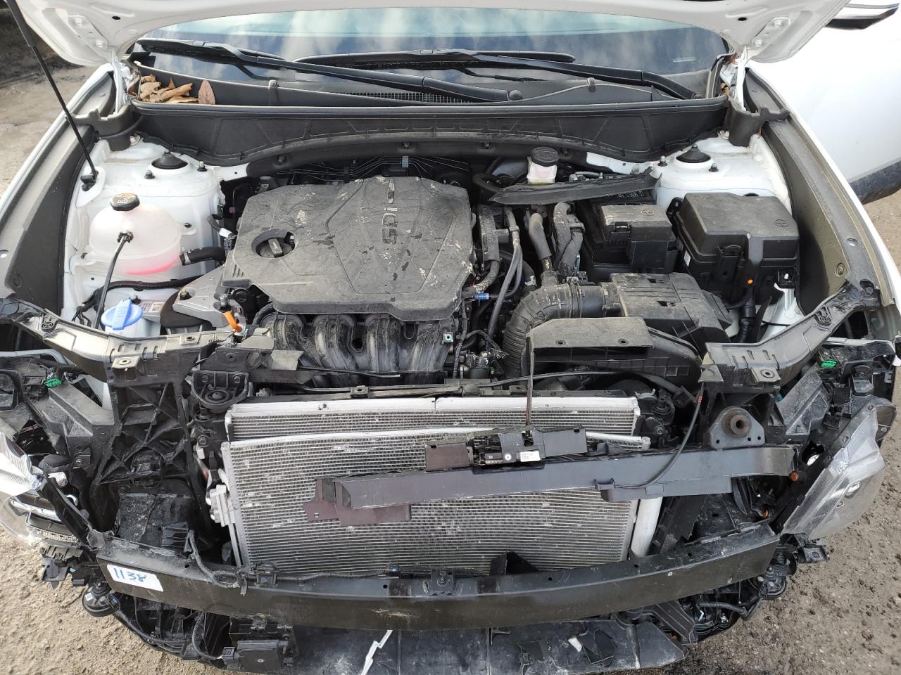 2024 Hyundai Tucson VIN 5NMJECDE3RH311660 Copart auction photo, front end / minor dent/scratches damage thumbnail 12