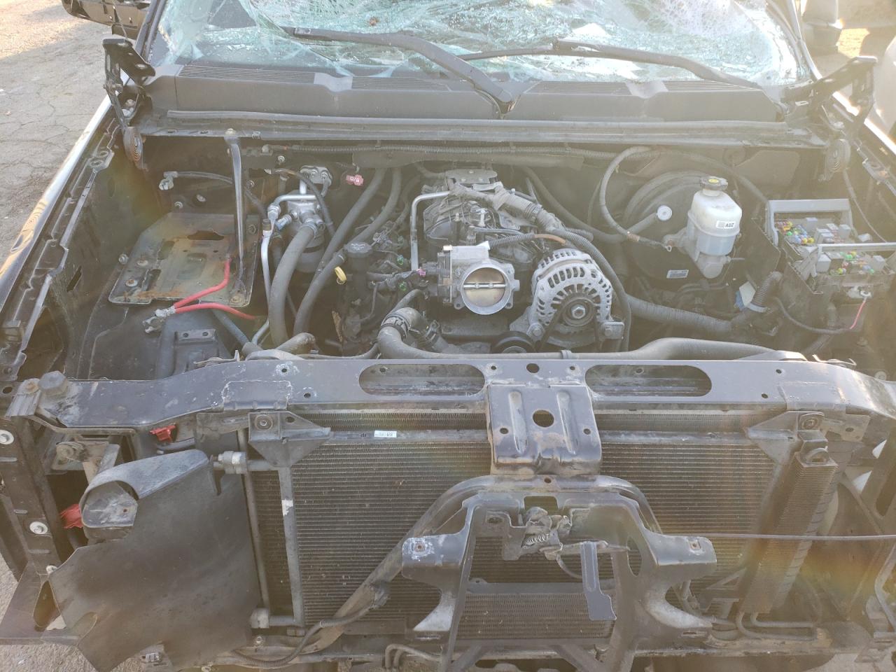 2009 Chevrolet Silverado VIN 1GCEK19C89Z244779 Copart auction photo, all over damage thumbnail 11
