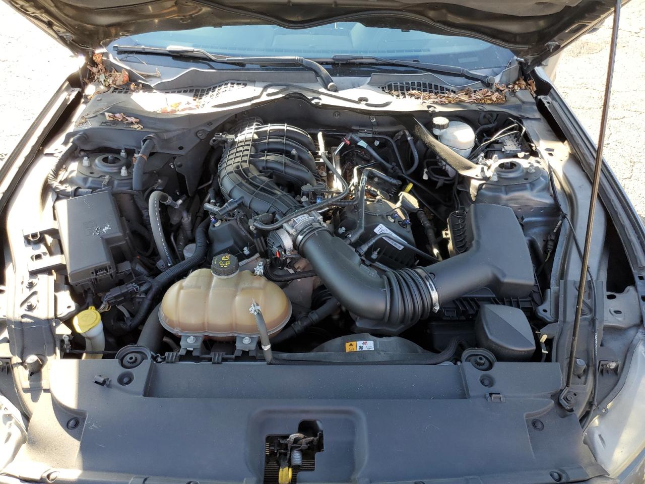 2015 Ford Mustang VIN 1FATP8EM5F5351958 Copart auction photo, water/flood damage thumbnail 11