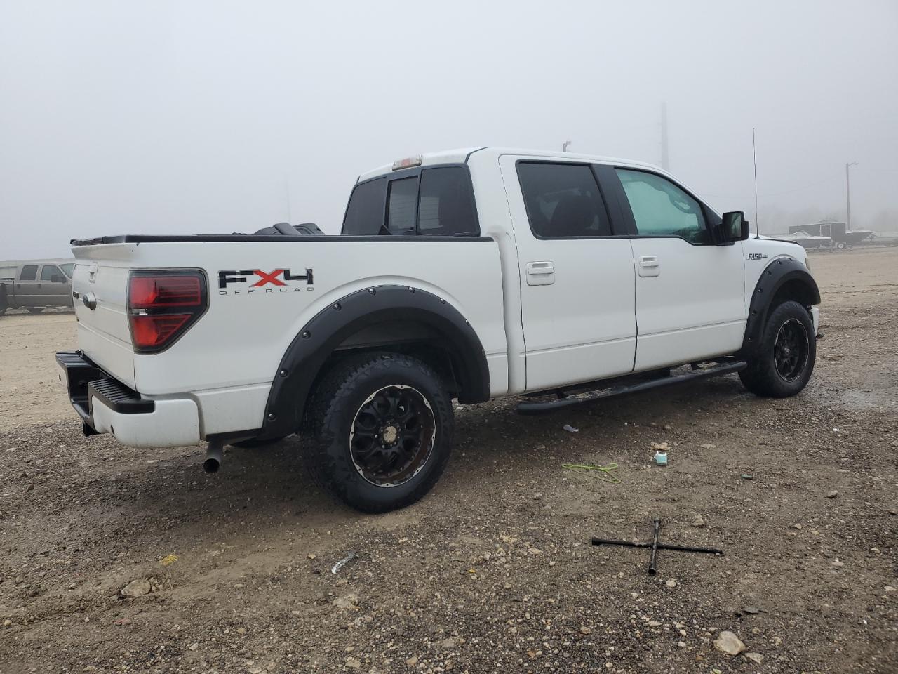 2010 Ford F-150 VIN 1FTFW1EV6AKE58456 Copart auction photo, side damage thumbnail 3