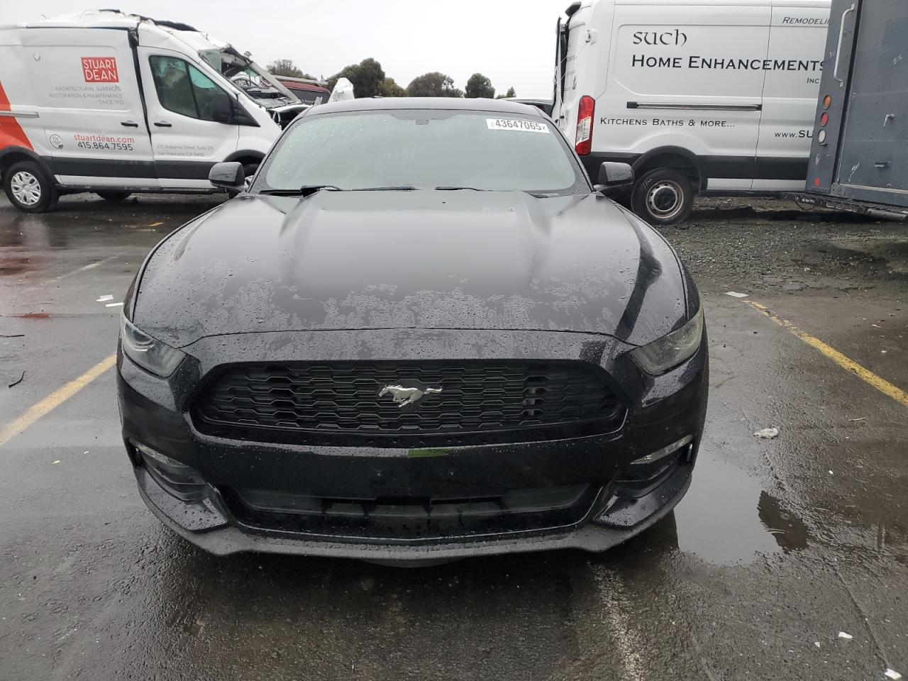 2016 Ford Mustang VIN 1FA6P8AM9G5299237 Copart auction photo, vandalism damage thumbnail 5