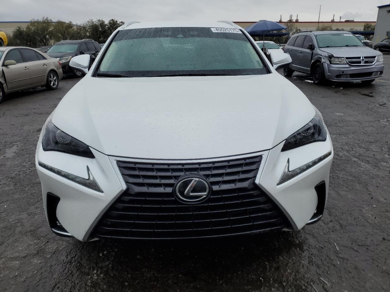 2019 Lexus NX VIN JTJYARBZ3K2132268 Copart auction photo, rear end damage thumbnail 5