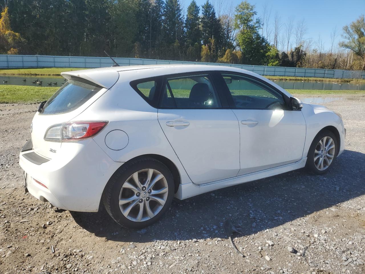 2010 Mazda 3 VIN JM1BL1H64A1226634 Copart auction photo, hail damage thumbnail 3