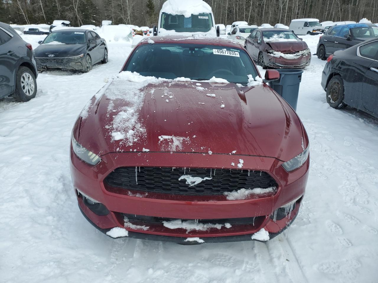 2017 Ford Mustang VIN 1FA6P8AM2H5321614 Copart auction photo, side damage thumbnail 5