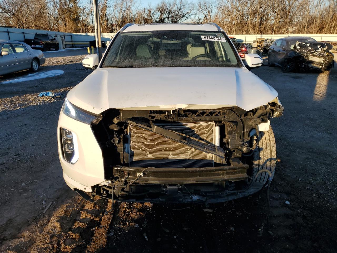 2021 Hyundai Palisade VIN KM8R54HE7MU312536 Copart auction photo, front end / minor dent/scratches damage thumbnail 5