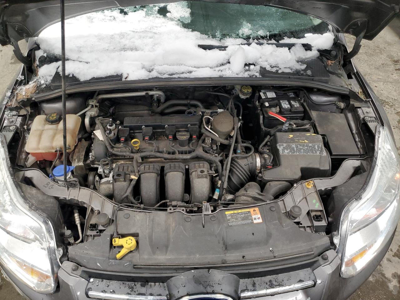 2014 Ford Focus VIN 1FADP3F21EL101261 Copart auction photo, rear end damage thumbnail 11