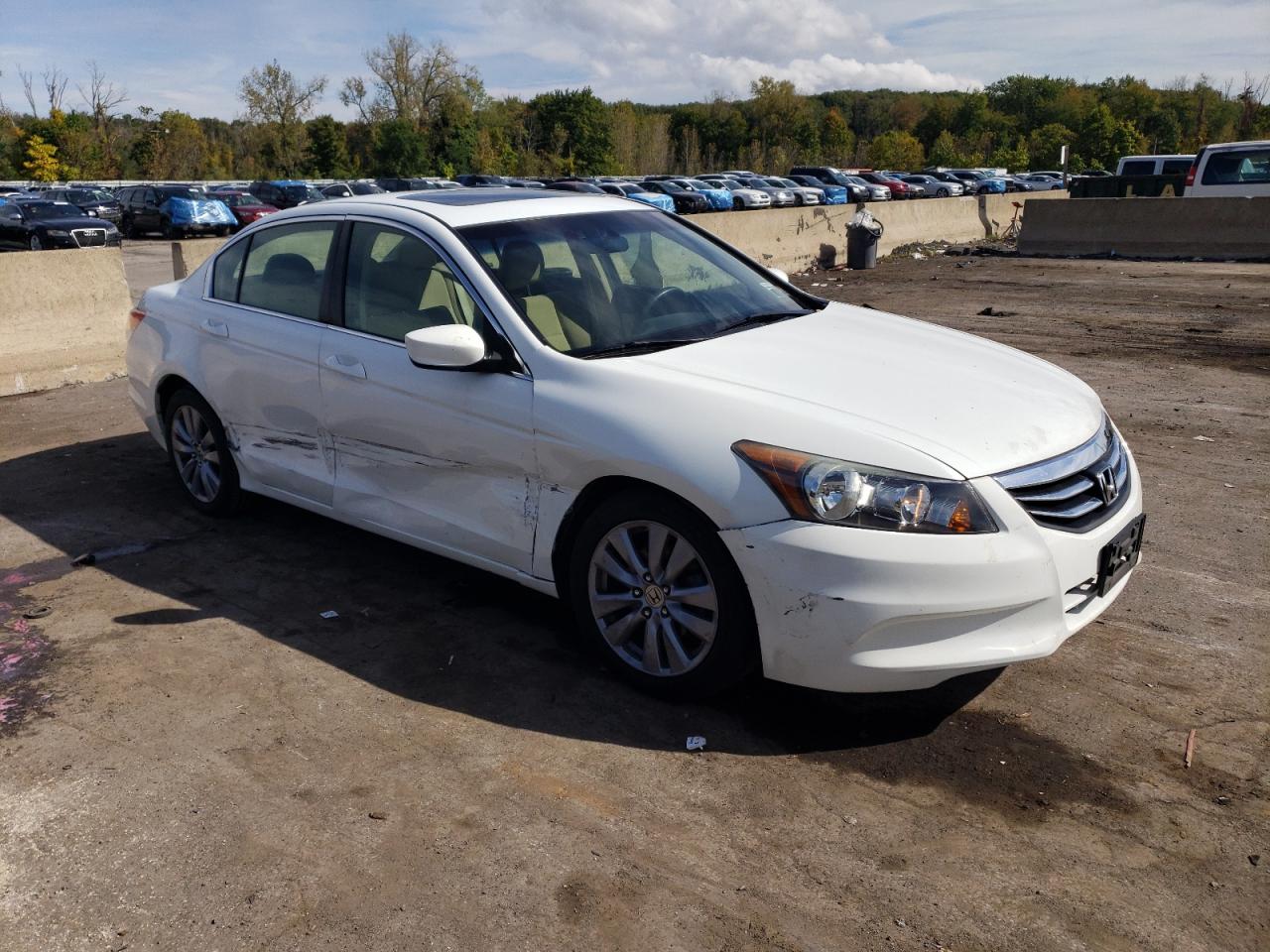 2011 Honda Accord VIN 1HGCP2F73BA012456 Copart auction photo, side / minor dent/scratches damage thumbnail 4