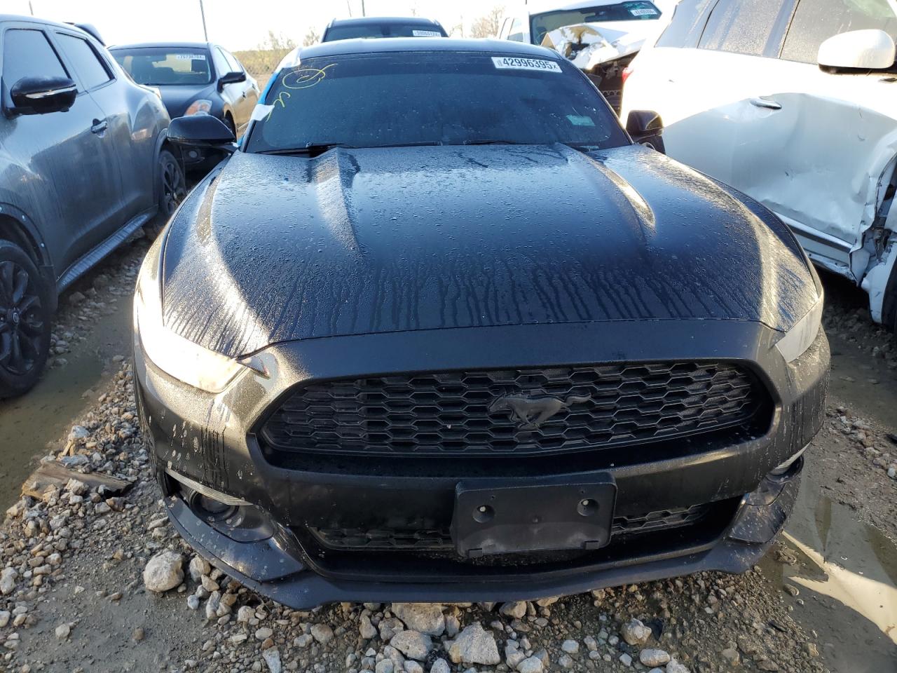 2016 Ford Mustang VIN 1FA6P8TH0G5229741 Copart auction photo, rear end / side damage thumbnail 5