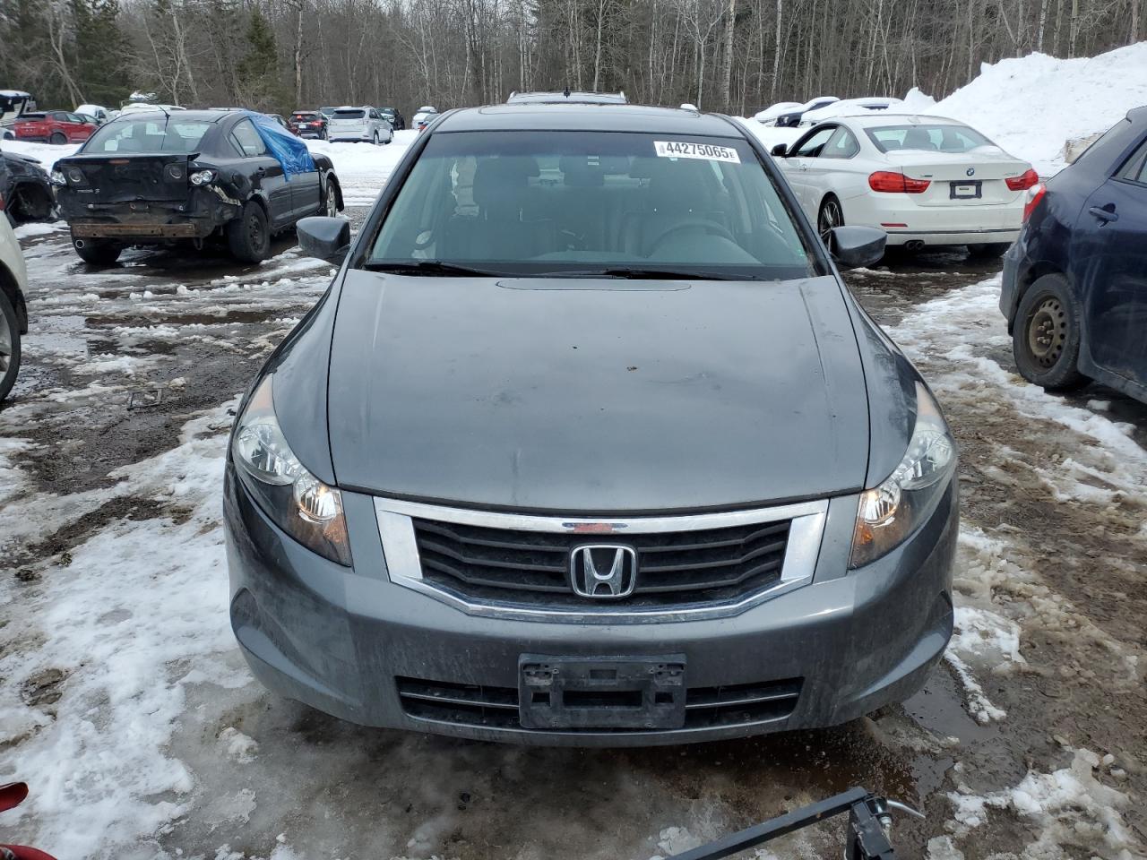 2010 Honda Accord VIN 1HGCP2F83AA803206 Copart auction photo, frame damage damage thumbnail 5