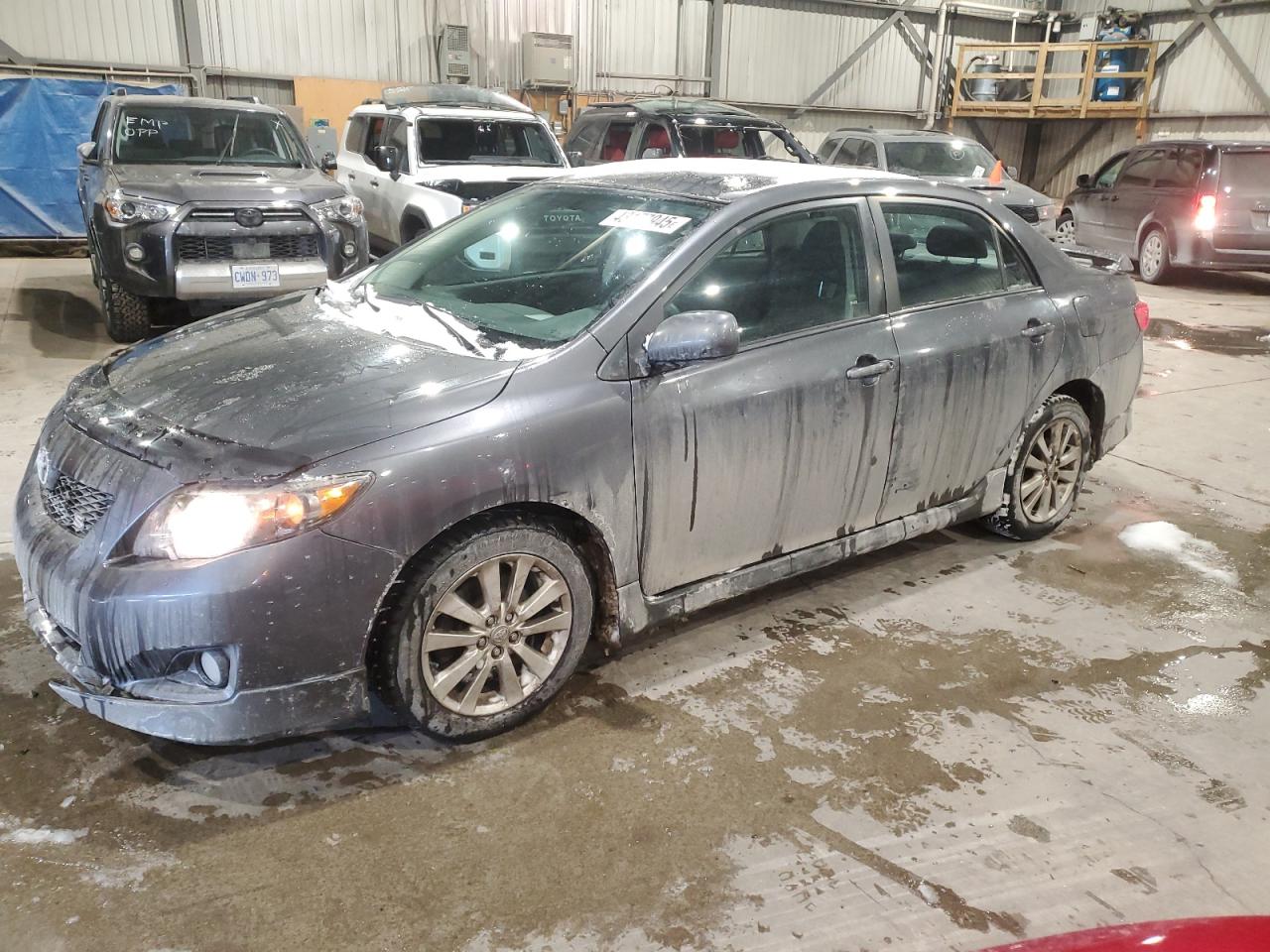 2010 Toyota Corolla VIN 2T1BU4EE3AC193499