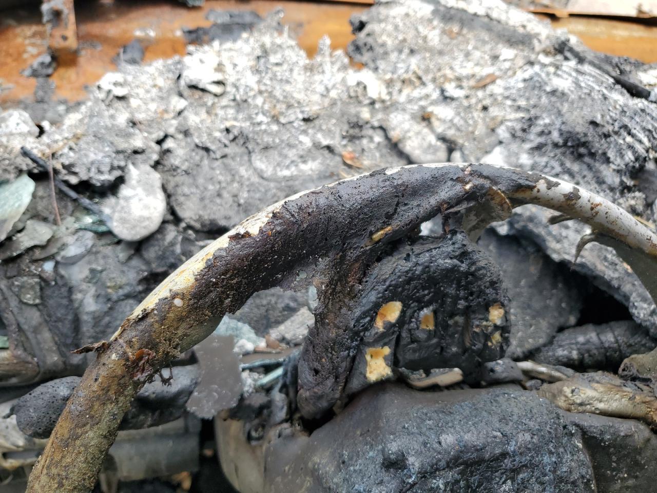2020 Subaru Forester VIN JF2SKAJC0LH494725 Copart auction photo, burn damage thumbnail 9