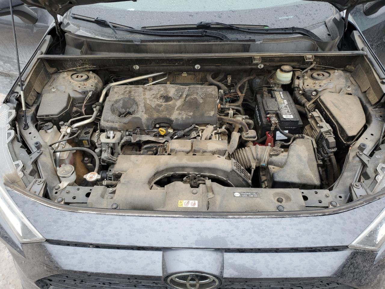 2019 Toyota RAV 4 VIN JTMW1RFV5KD019704 Copart auction photo, side damage thumbnail 12