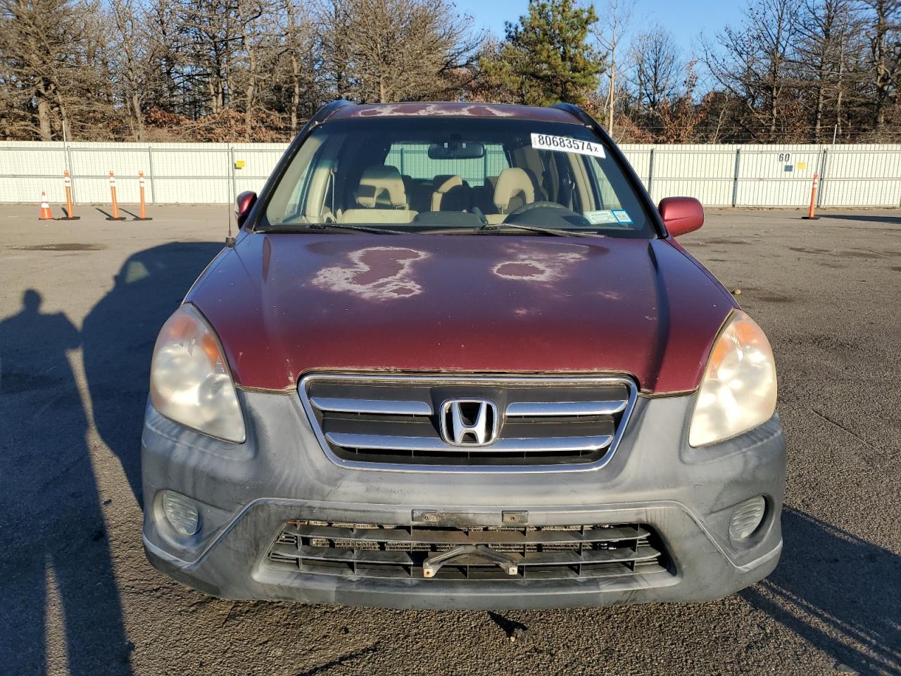 2005 Honda CR-V VIN JHLRD78855C033745 Copart auction photo, minor dent/scratches damage thumbnail 5