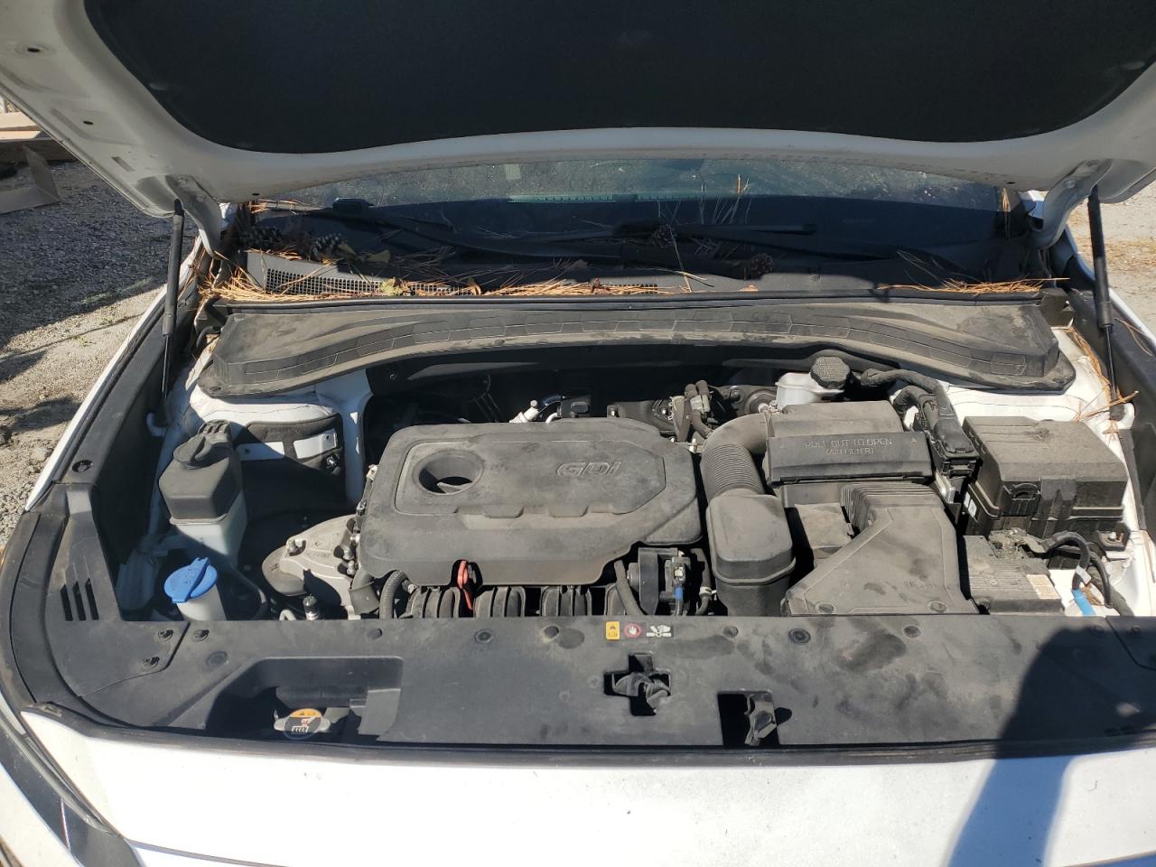 2019 Hyundai Santa Fe VIN 5NMS23AD3KH112039 Copart auction photo, all over damage thumbnail 12