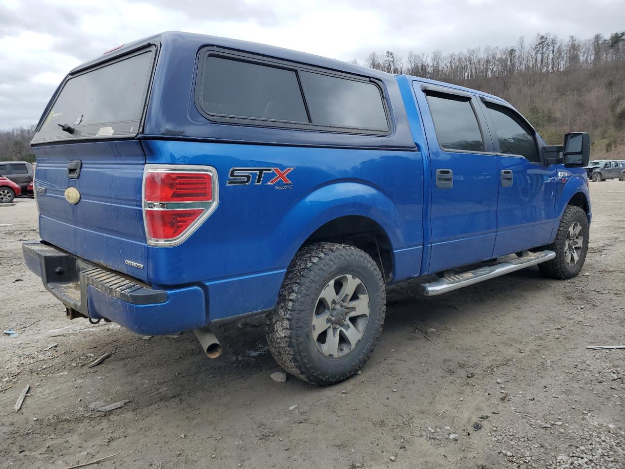 2014 Ford F-150 VIN 1FTFW1EF9EFA10039 Copart auction photo, water/flood damage thumbnail 3