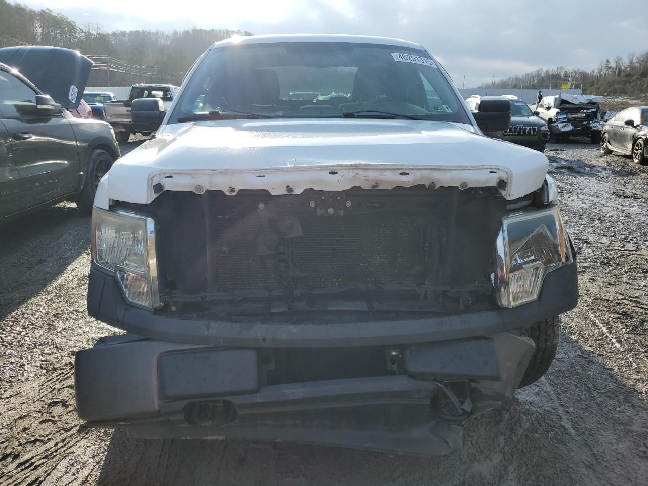 2009 Ford F-150 VIN 1FTRX14859FA35457 Copart auction photo, front end damage thumbnail 5