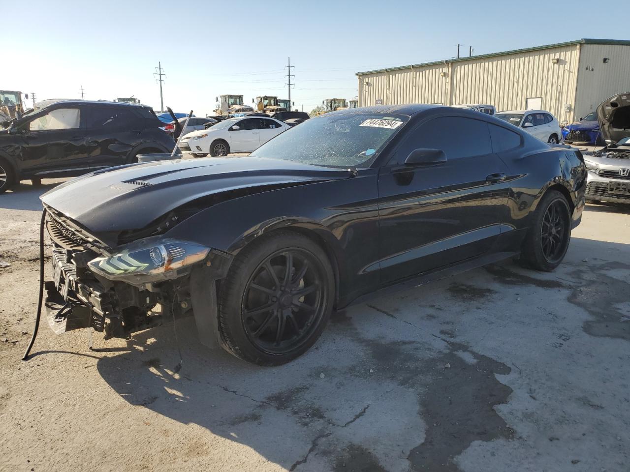 2019 Ford Mustang VIN 1FA6P8TH1K5125087