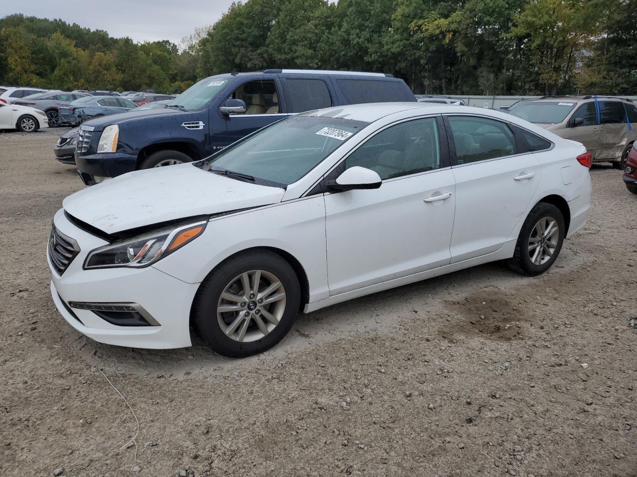 2015 Hyundai Sonata VIN 5NPE24AF9FH146063