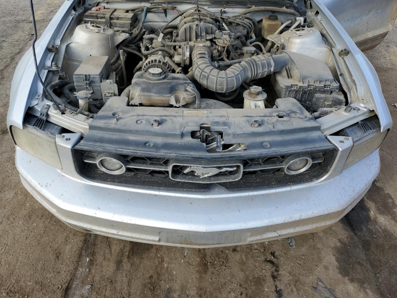 2006 Ford Mustang VIN 1ZVFT80NX65258286 Copart auction photo, rear end damage thumbnail 12