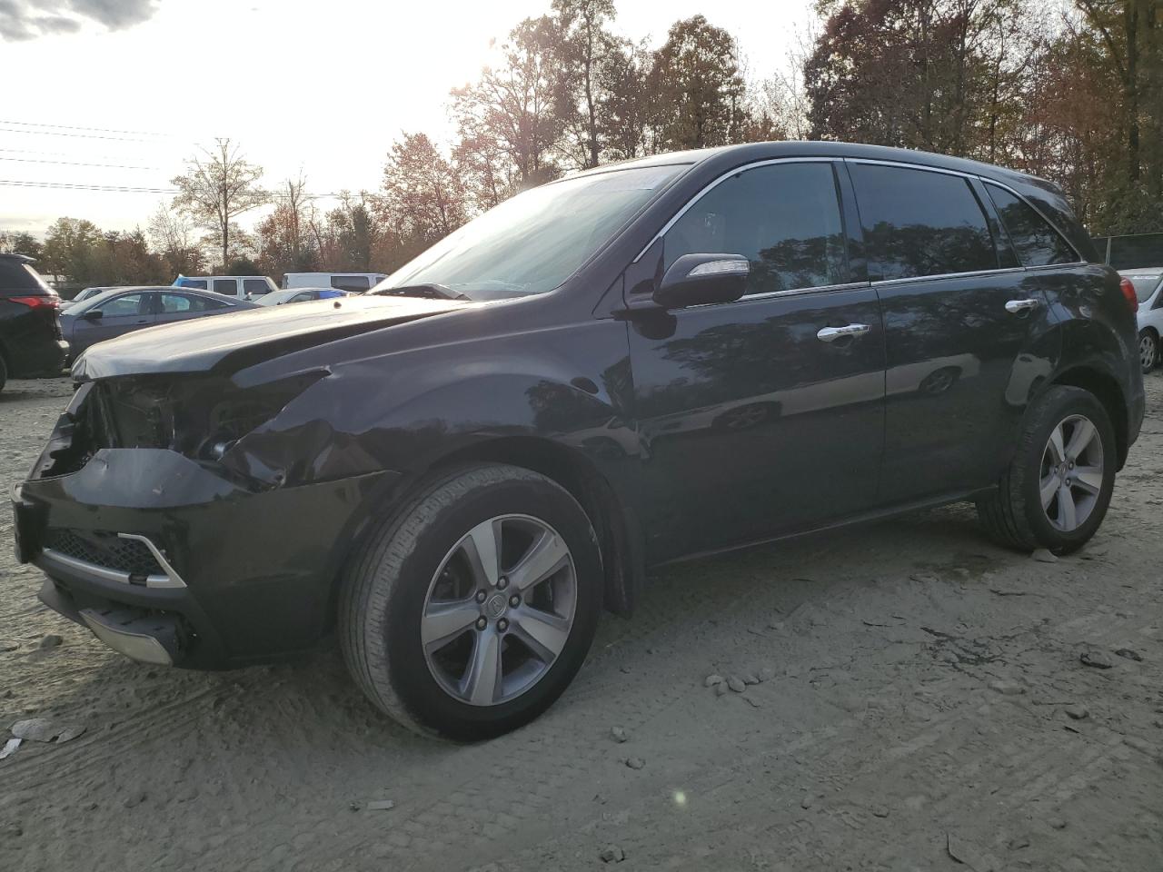 2011 Acura MDX VIN 2HNYD2H20BH527893