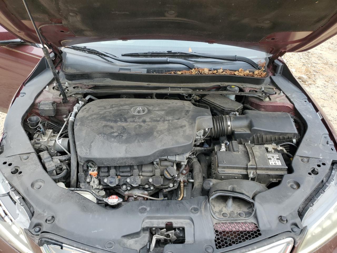 2015 Acura TLX VIN 19UUB3F57FA005362 Copart auction photo, rear end / front end damage thumbnail 13