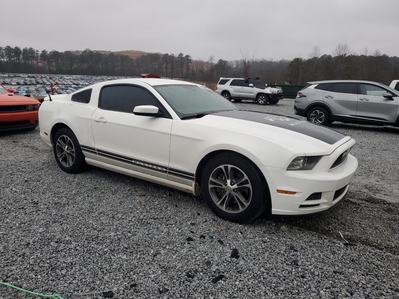 2013 Ford Mustang VIN 1ZVBP8AM7D5248739 Copart auction photo, rear end / side damage thumbnail 4