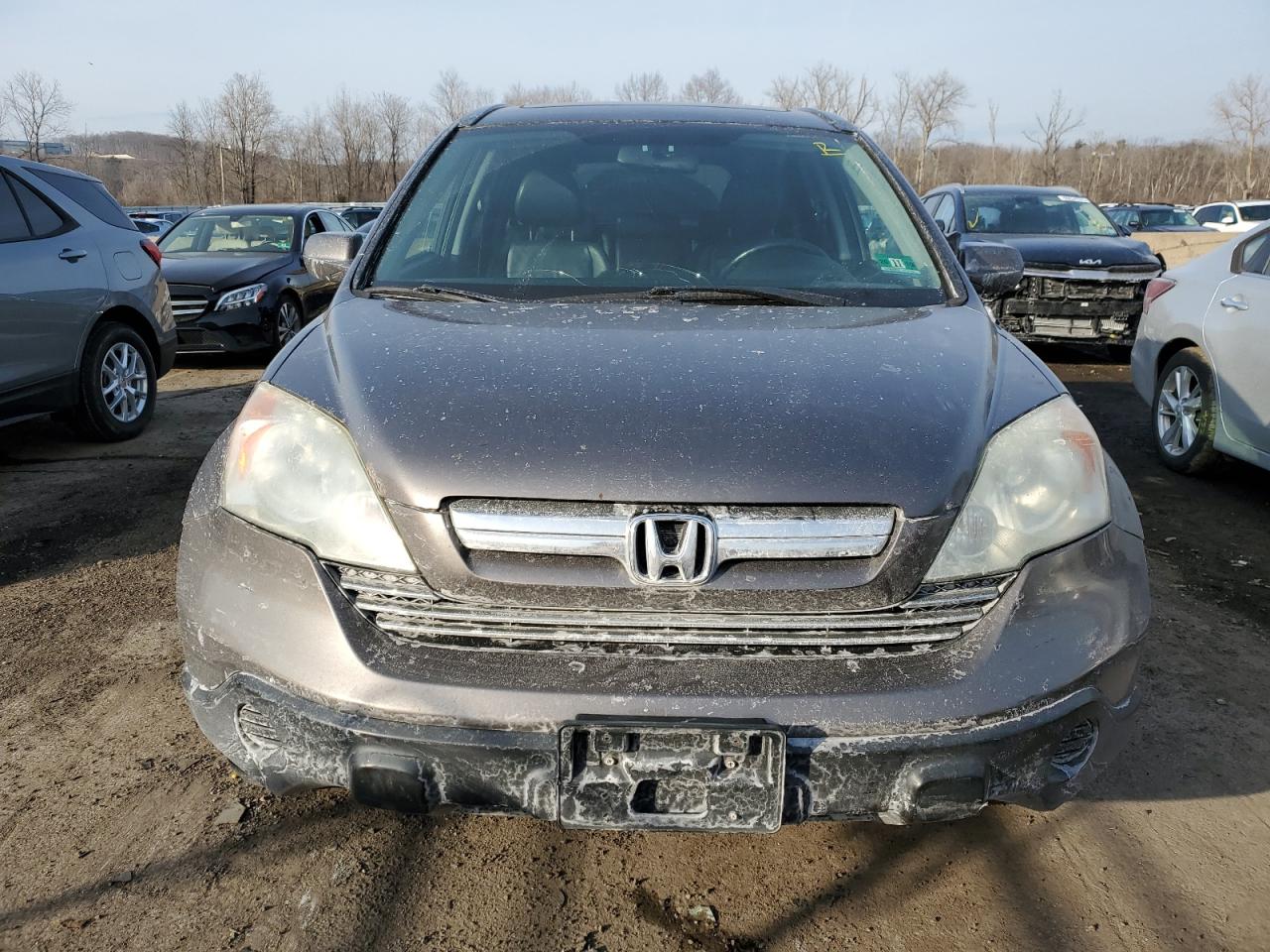 2009 Honda CR-V VIN 5J6RE48769L016632 Copart auction photo, side / front end damage thumbnail 5