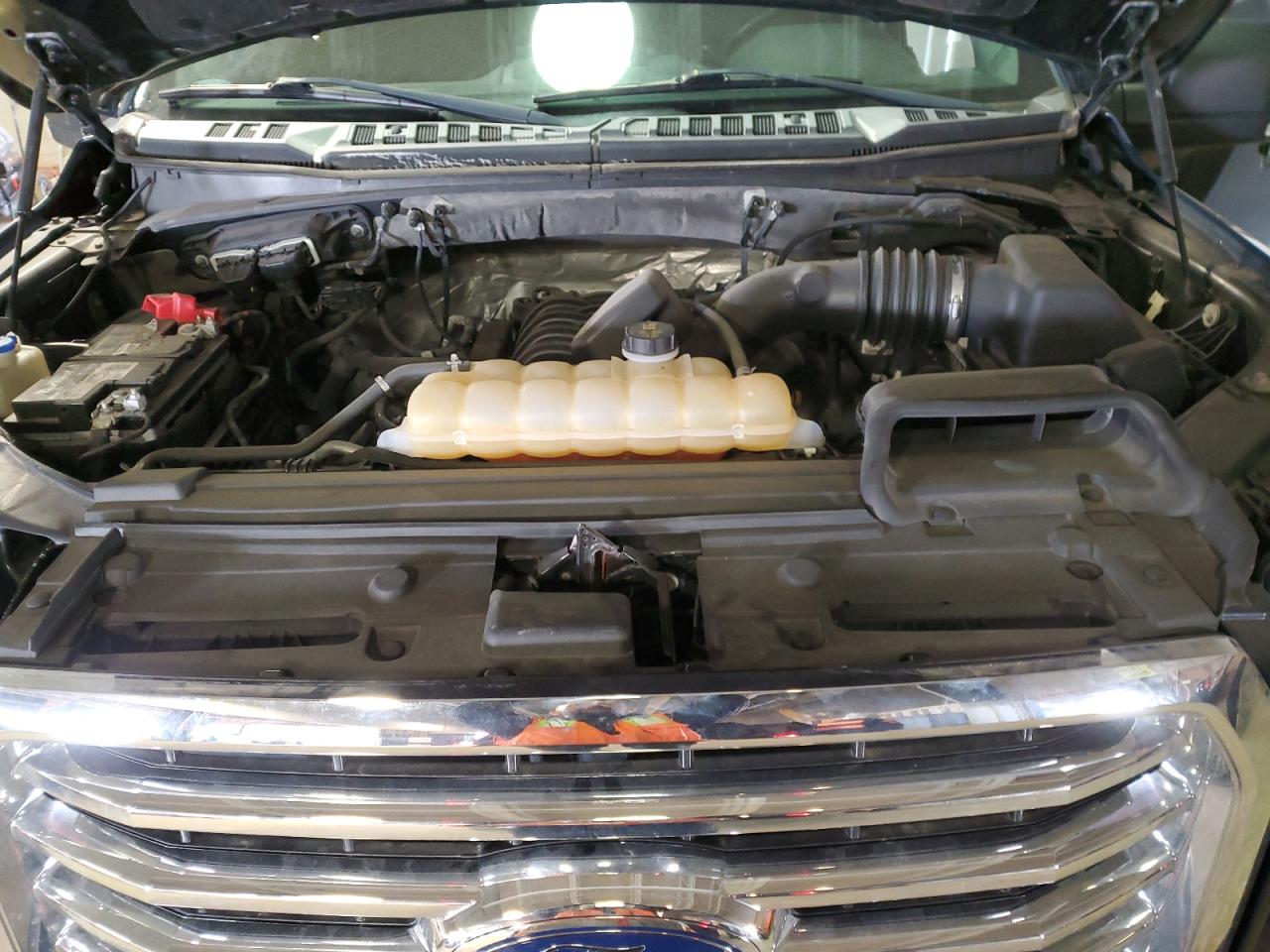 2017 Ford F-150 VIN 1FTEW1EF1HKE15464 Copart auction photo, side / minor dent/scratches damage thumbnail 11