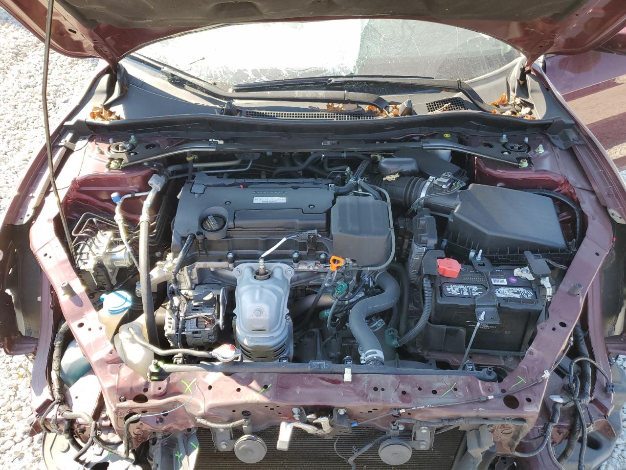 2017 Honda Accord VIN 1HGCR2F53HA023331 Copart auction photo, front end / minor dent/scratches damage thumbnail 11