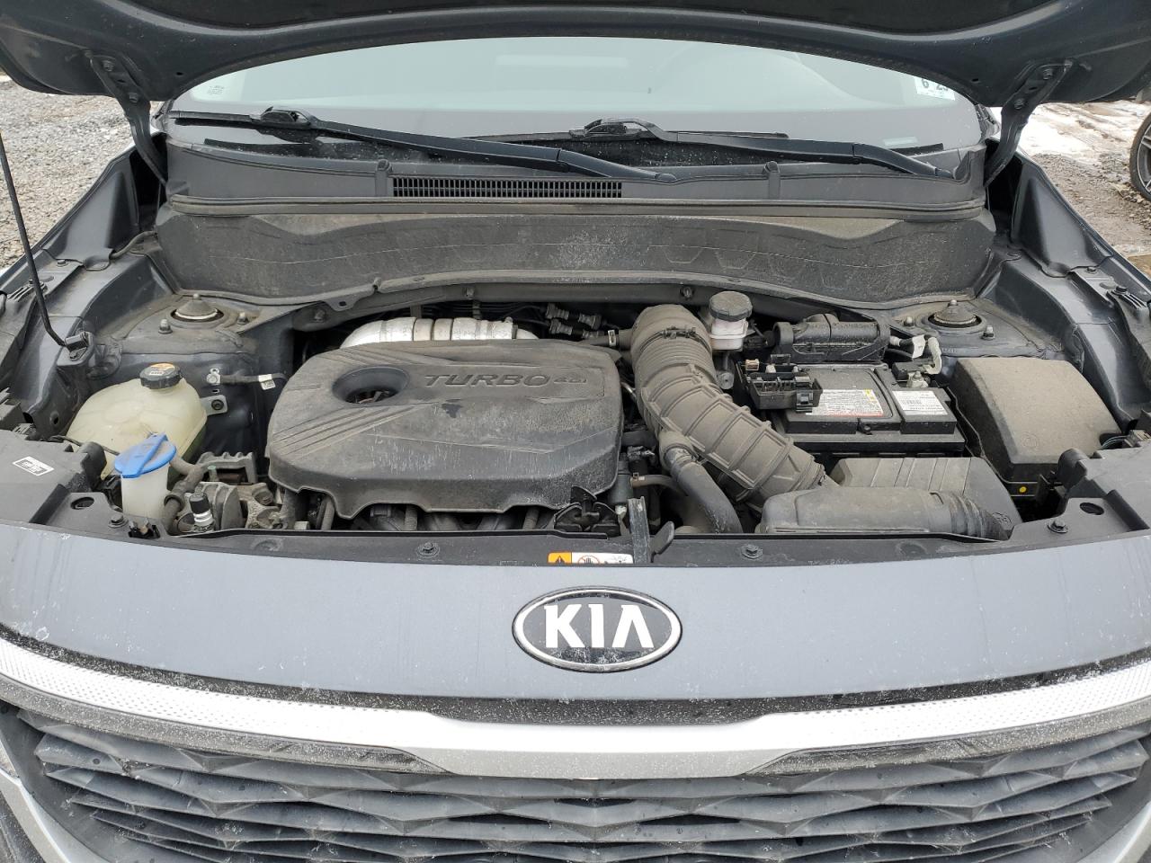 2021 KIA Seltos VIN KNDEUCA21M7078649 Copart auction photo, side damage thumbnail 12