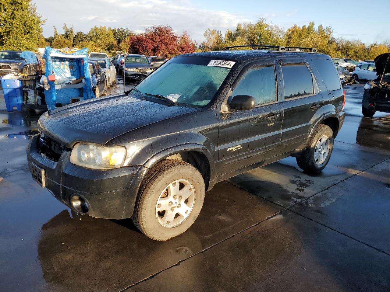 2007 Ford Escape VIN 1FMCU04117KA07392