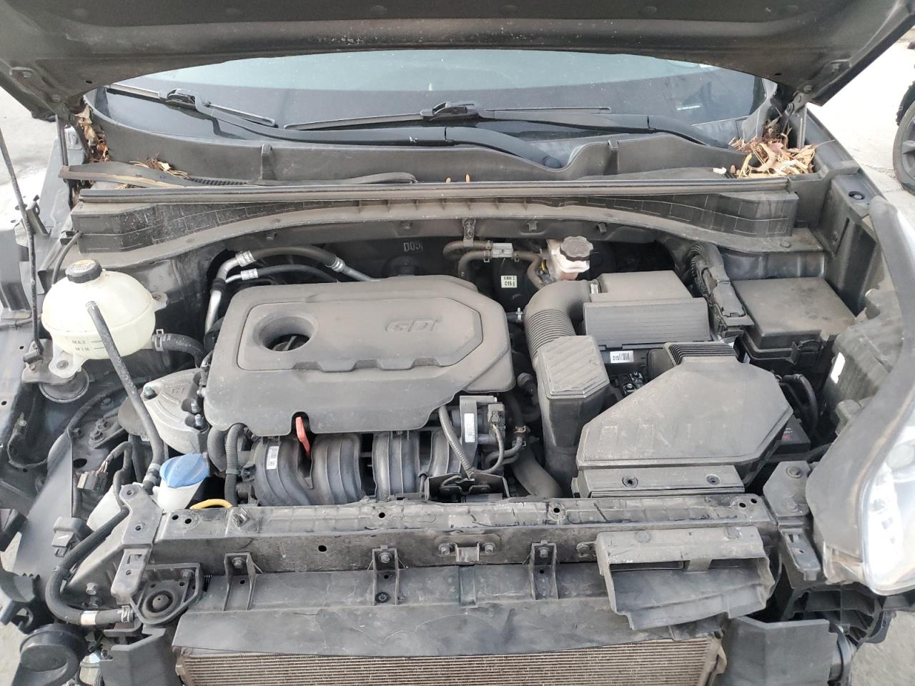 2019 KIA Sportage VIN KNDPNCAC5K7500644 Copart auction photo, front end damage thumbnail 12