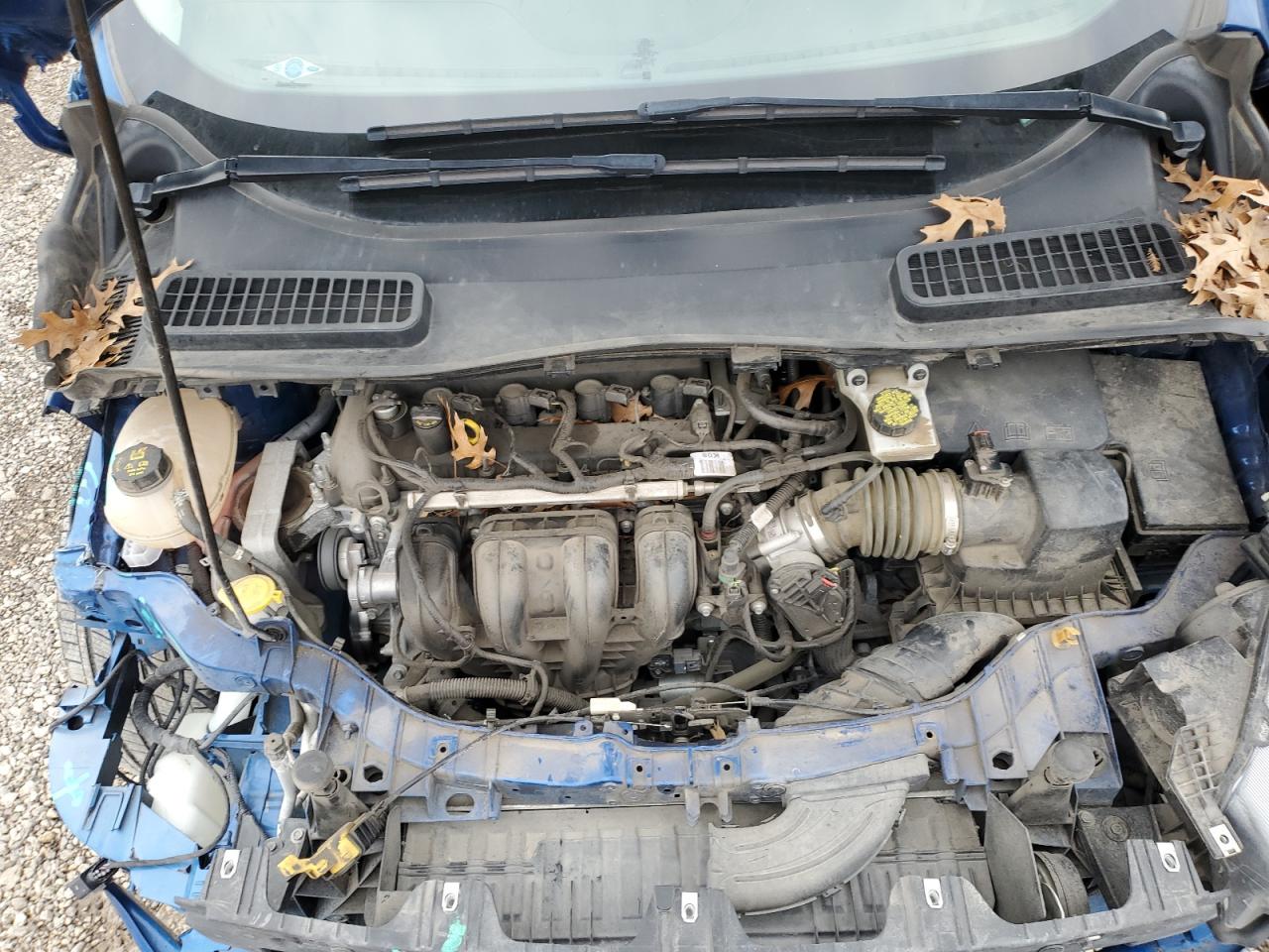2019 Ford Escape VIN 1FMCU0F72KUA46524 Copart auction photo, front end / rear end damage thumbnail 11