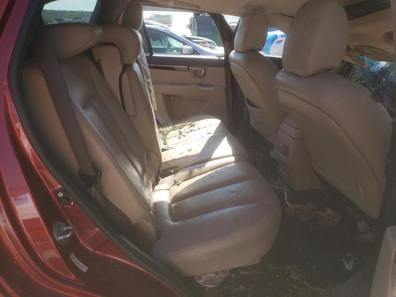 2010 Hyundai Santa Fe VIN 5NMSKDAG1AH338031 Copart auction photo, top/roof / side damage thumbnail 10