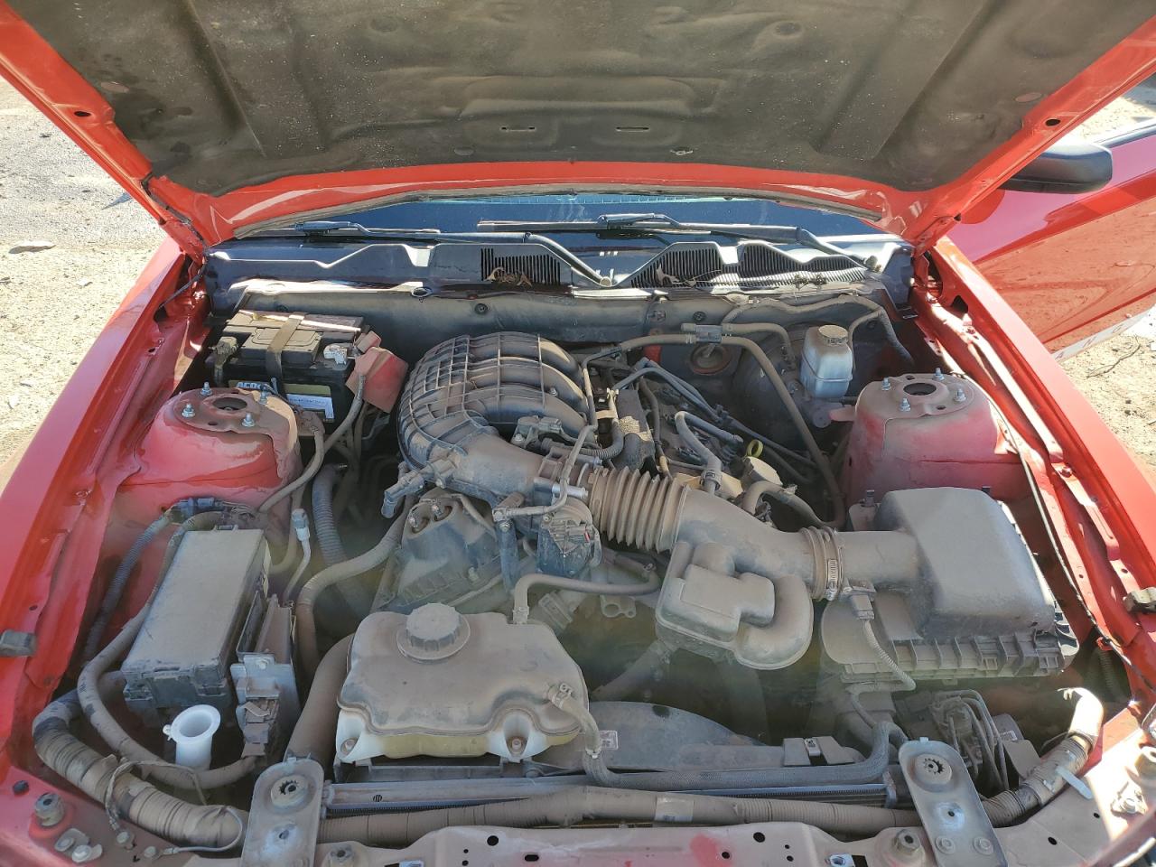 2014 Ford Mustang VIN 1ZVBP8AM8E5250081 Copart auction photo, front end damage thumbnail 11
