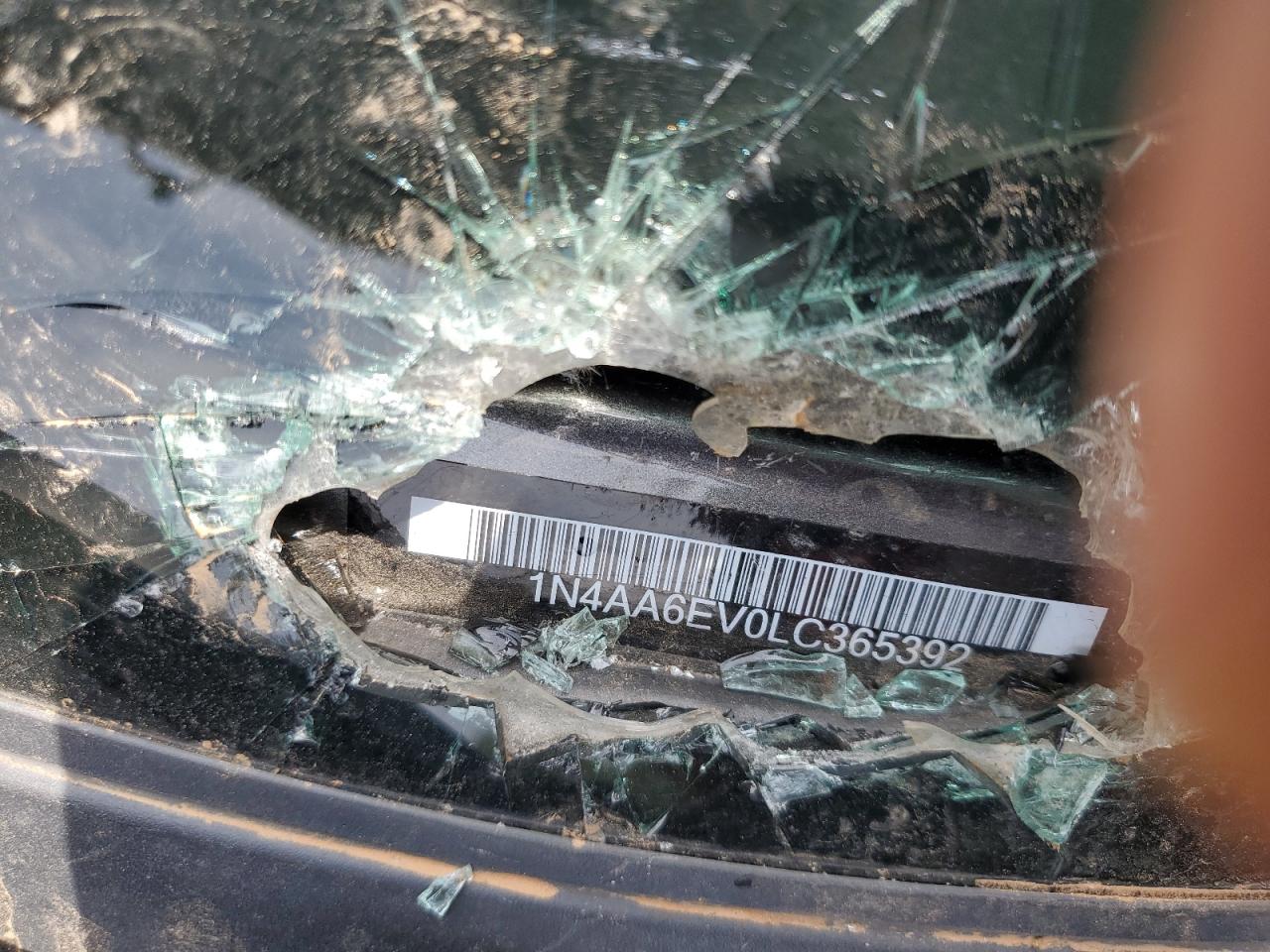 2020 Nissan Navara (Frontier) VIN 1N4AA6EV0LC365392 Copart auction photo, minor dent/scratches damage thumbnail 12