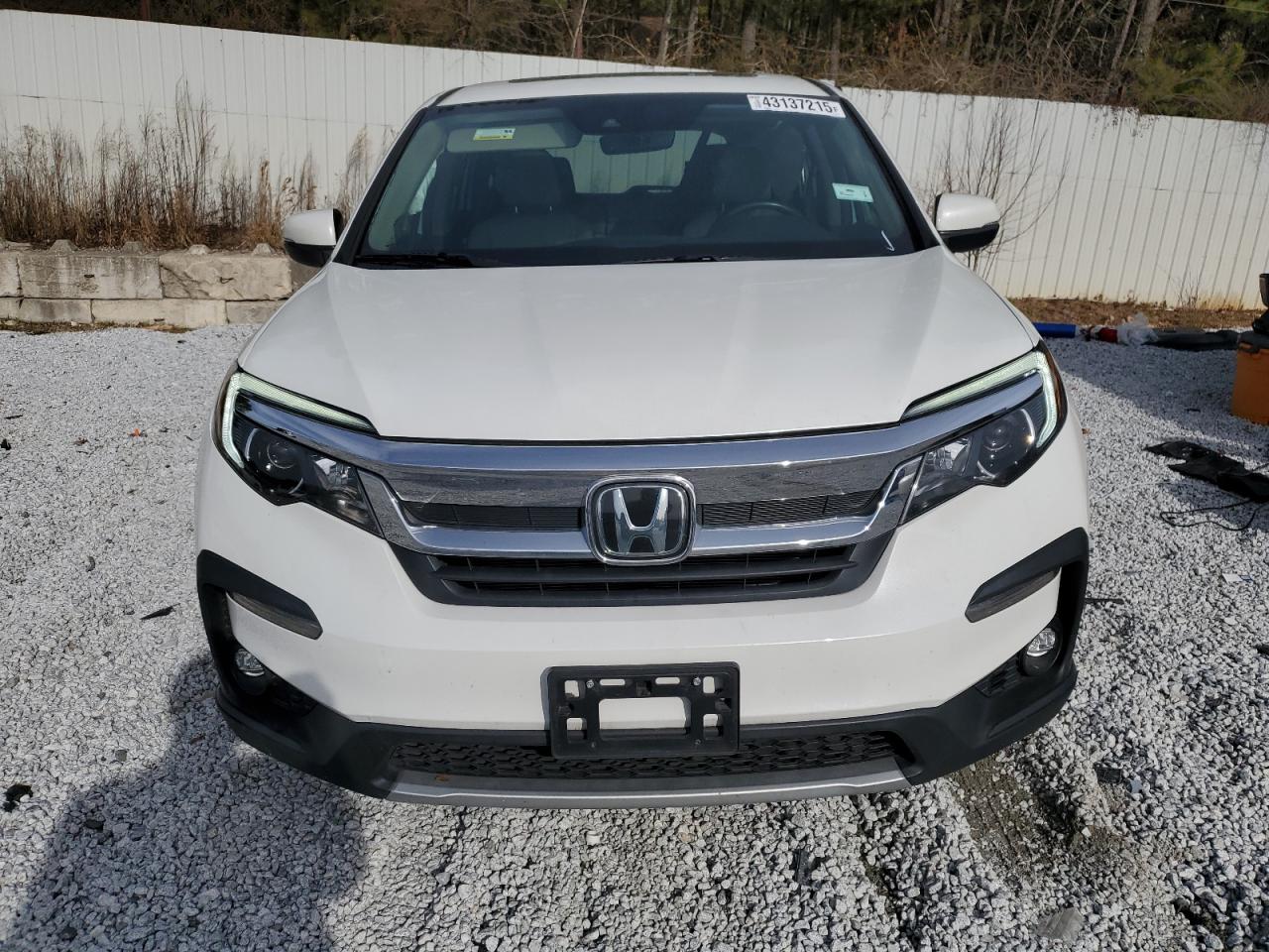 2021 Honda Pilot VIN 5FNYF5H56MB033235 Copart auction photo, rear end / side damage thumbnail 5