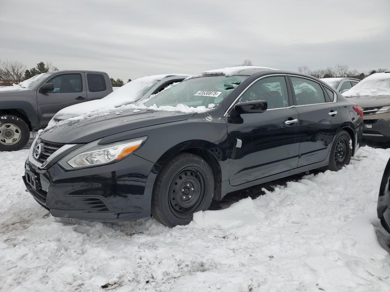 2016 Nissan Altima VIN 1N4AL3AP8GN384962
