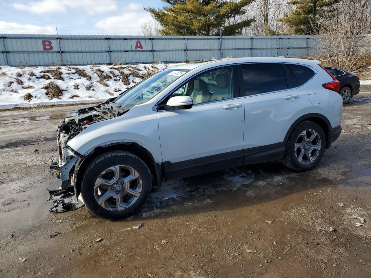 2019 Honda CR-V VIN 5J6RW2H82KA021533