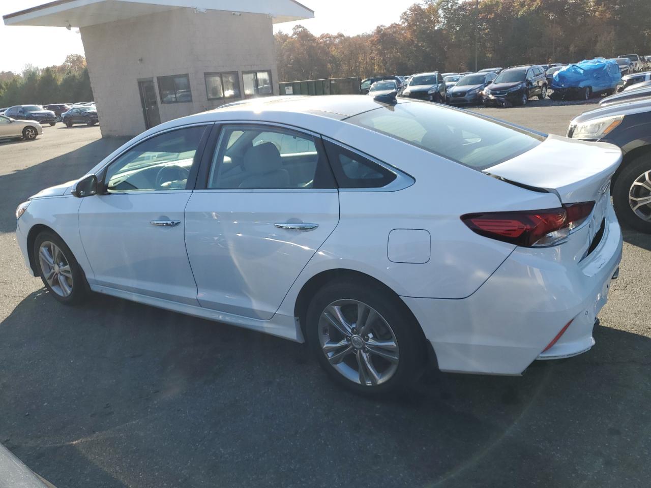 2019 Hyundai Sonata VIN 5NPE34AF5KH734727 Copart auction photo, front end damage thumbnail 2