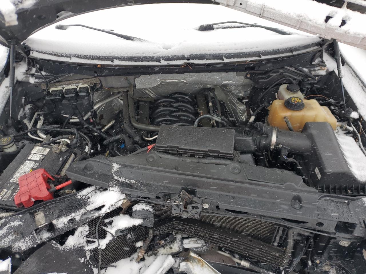 2013 Ford F-150 VIN 1FTFW1EF0DKD12079 Copart auction photo, front end / rear end damage thumbnail 11