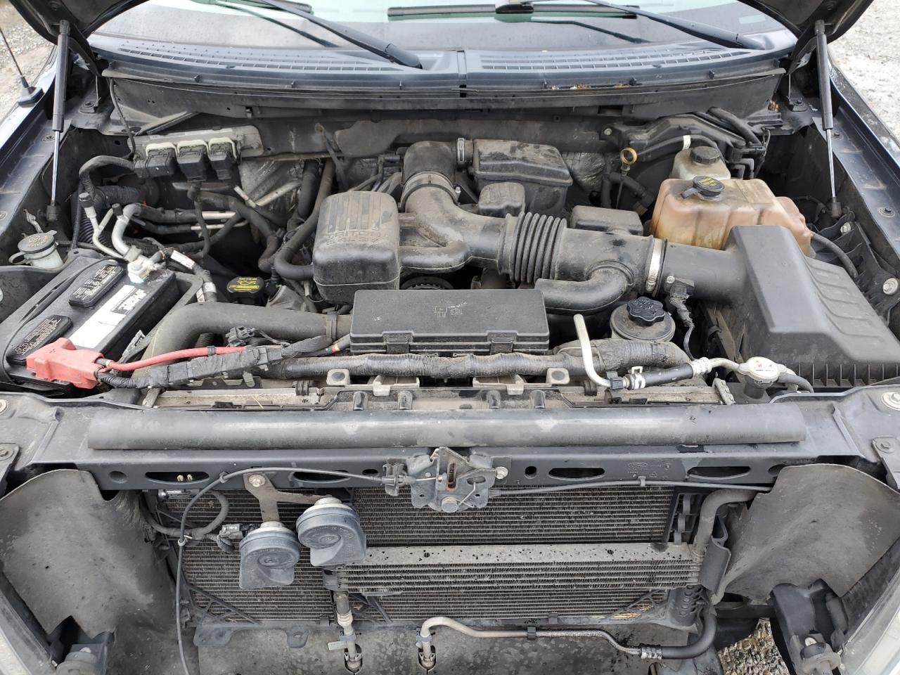 2010 Ford F-150 VIN 1FTFW1EV3AFA66334 Copart auction photo, all over damage thumbnail 11