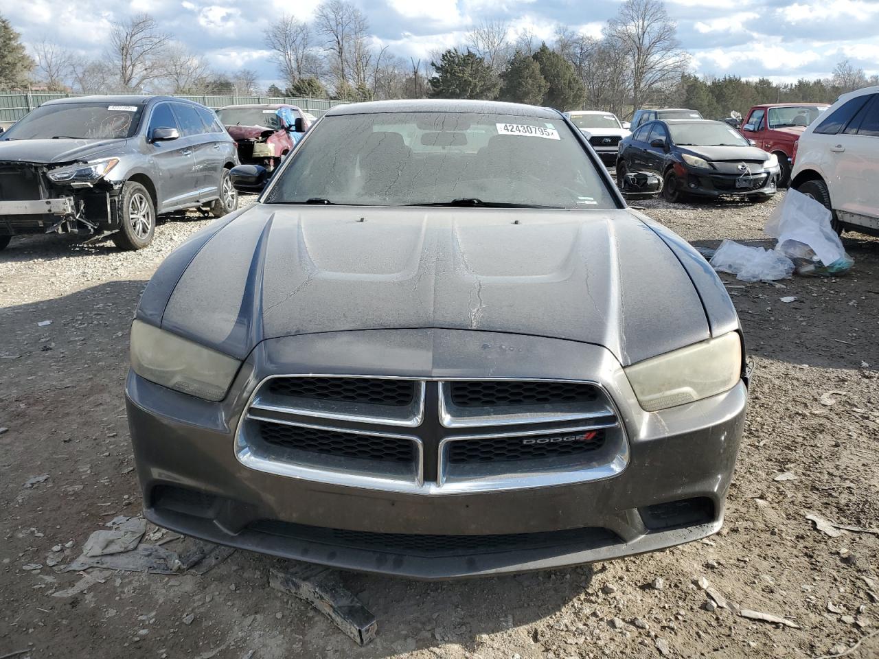 2014 Dodge Charger VIN 2C3CDXBGXEH130993 Copart auction photo, side damage thumbnail 5