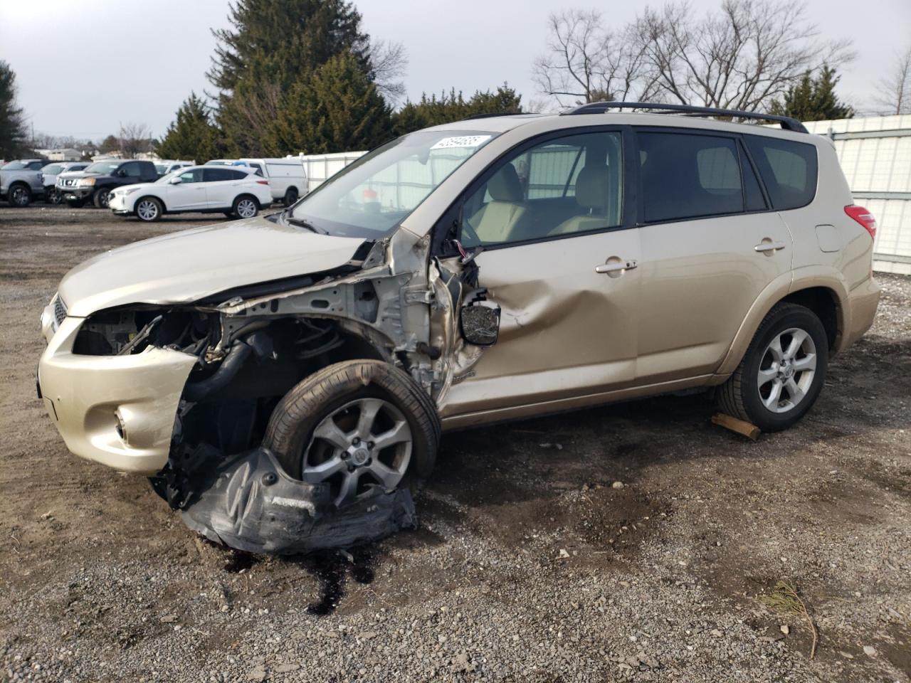 2010 Toyota RAV 4 VIN JTMDF4DV4AD036779