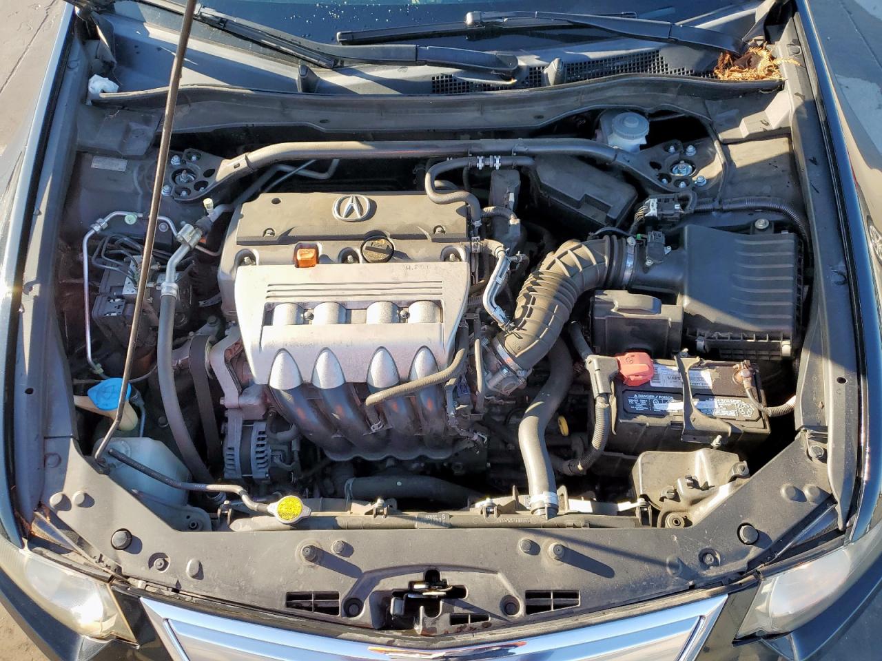 2013 Acura TSX VIN JH4CU2F47DC011393 Copart auction photo, side damage thumbnail 11