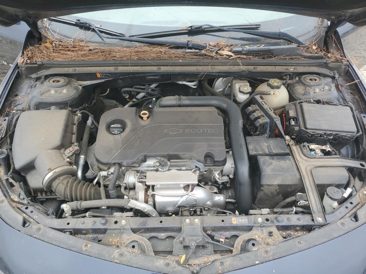 2017 Chevrolet Malibu VIN 1G1ZB5ST2HF136685 Copart auction photo, side / rear end damage thumbnail 11