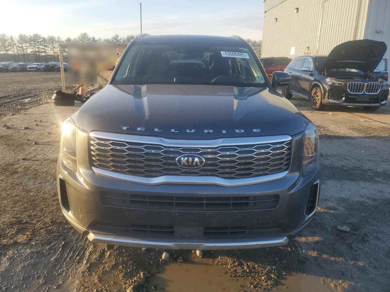 2020 KIA Telluride VIN 5XYP3DHCXLG001649 Copart auction photo, side damage thumbnail 5