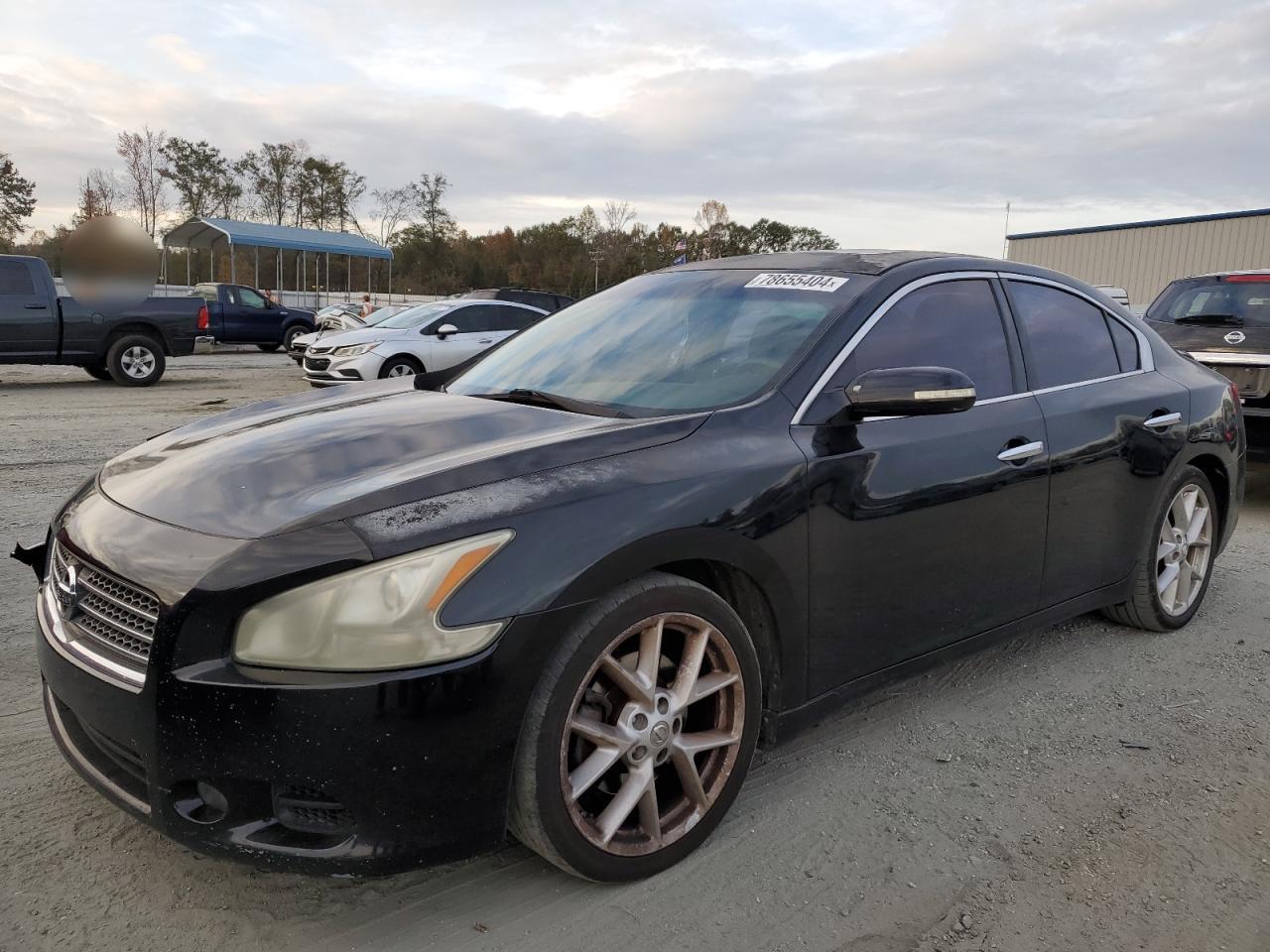 2009 Nissan Maxima VIN 1N4AA51E19C831386