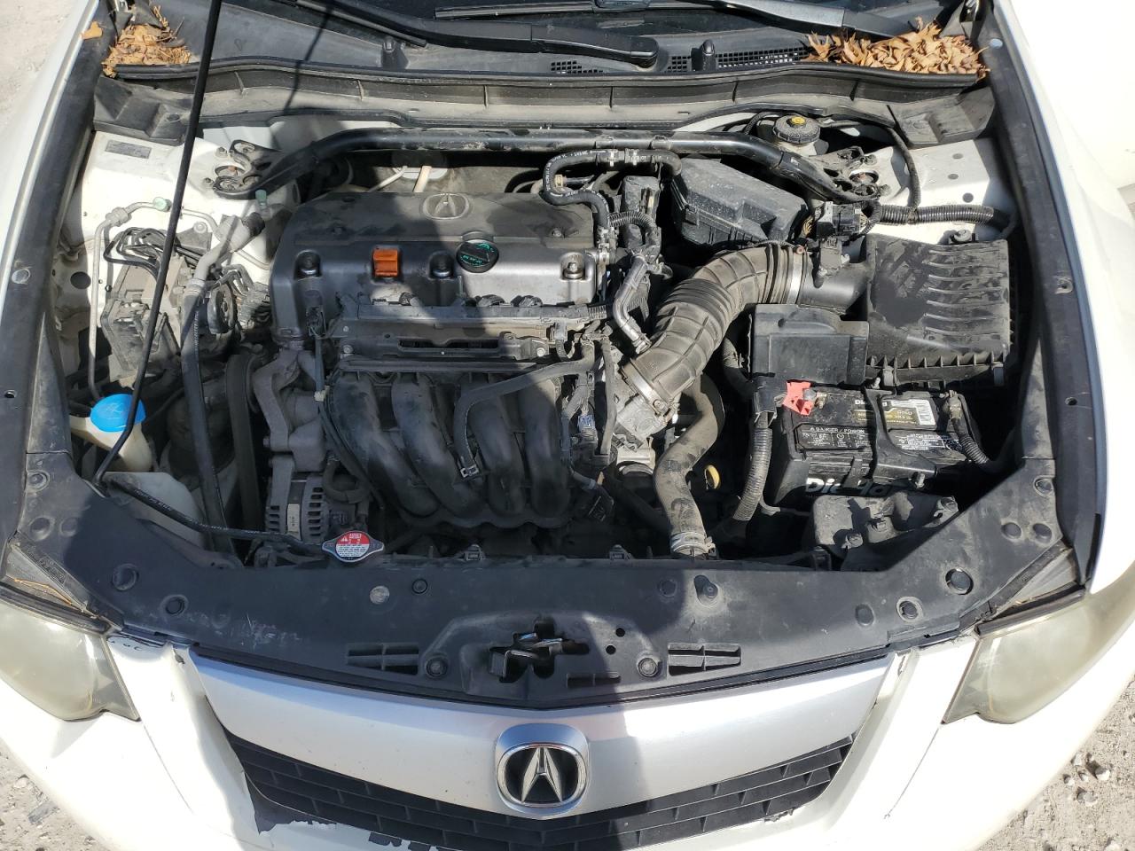2009 Acura TSX VIN JH4CU26689C034187 Copart auction photo, side / rear end damage thumbnail 11