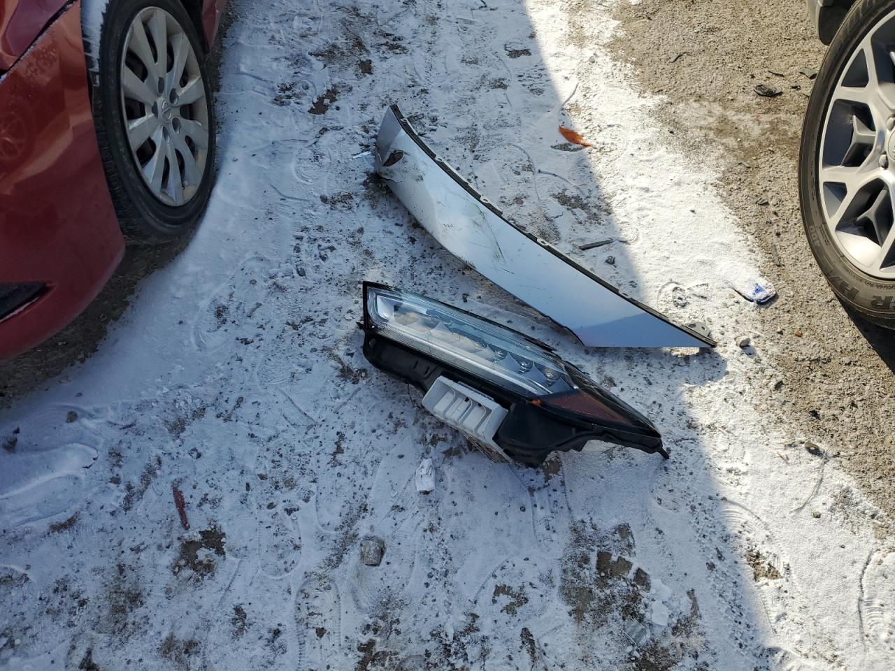 2021 Nissan Maxima VIN 1N4AA6CV0MC504392 Copart auction photo, front end / minor dent/scratches damage thumbnail 14